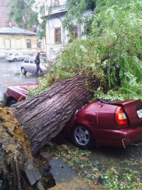 экспертиза автомобиля