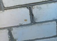 строительная экспертиза дома 