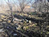 экспертиза элементов ставрополе