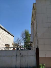 экспертиза здания