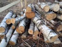 оценка древесины
