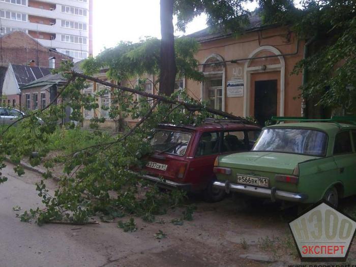 НЭОО "Эксперт"